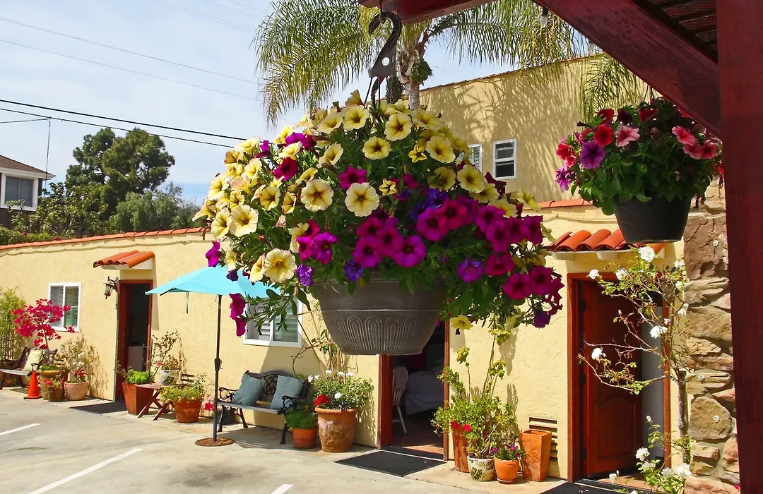 Leucadia Beach Inn-1